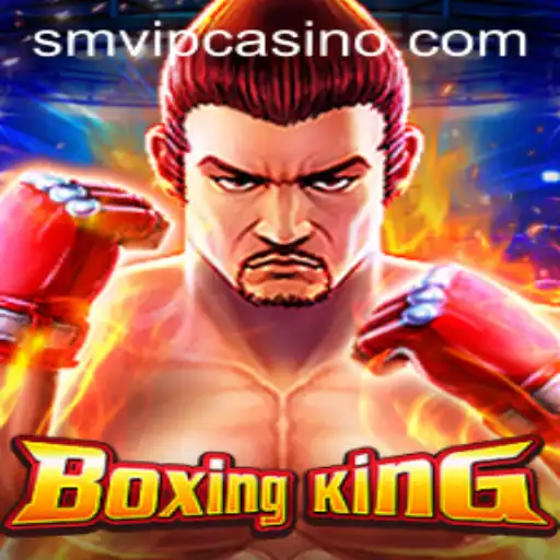 Discovering the Excitement of BoxingKing